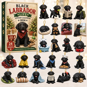 Black Labrador Life Advent Calendar 2026 - 24-Day Festive Countdown, Acrylic Charms Blind Box - Gift For Labrador Lovers 8ba784a1-f2c6-4e63-8794-f142a2c85af7-labrador-box-charms.png