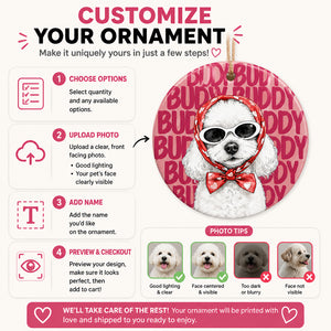 Custom Pet Portrait Name Ornament – Retro Snowflake Banner - Personalized Ornament 8c3570e8-7dee-42d6-bd75-42331f393853.jpg
