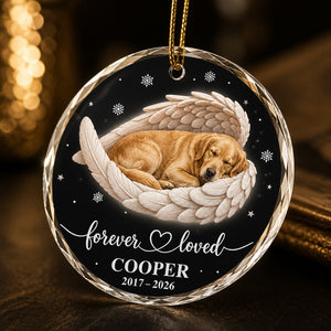 Forever Loved Pet Memorial Crystal Ornament - Personalized Crystal Ornament 8c4a726c-39b5-4543-91ca-df82acee114d.jpg