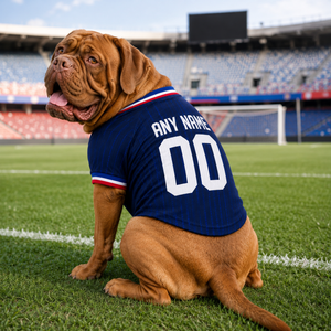 France Dog Tshirt 2026 World Cup Pet Clothes Jersey Style Custom Name and Number Pet Clothes Gifts
