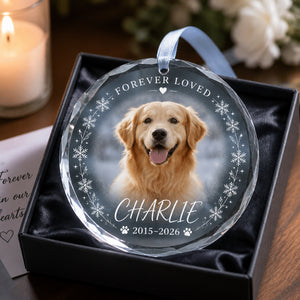 Forever Loved Pet Memorial Crystal Ornament - Personalized Crystal Ornament 8db4680f-4681-4ec5-b252-44ddfceefcfe.jpg