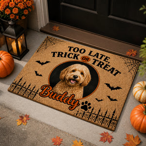 Halloween Trick or Treat Pet Photo Doormat - Personalized Doormat 8db52d7a-fd1a-4811-a6d0-76bd0b0f5f48.jpg