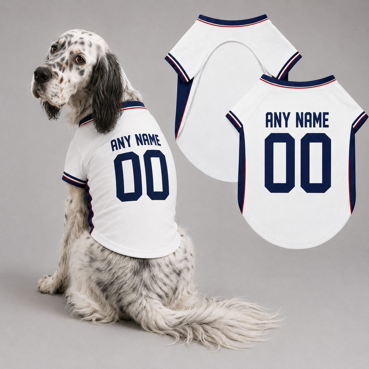 England Dog Tshirt 2026 World Cup Pet Clothes Jersey Style Custom Name and Number Pet Clothes Gifts