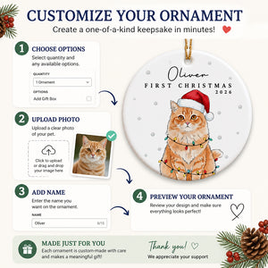 Custom Pet Portrait Ornament - First Christmas Name & Year - Personalized Ornament 8f854dda-a972-49d1-8305-6a1acbc6bb81.jpg
