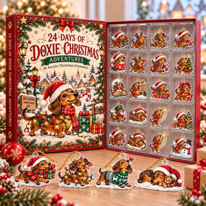 Dachshund Christmas Advent Calendar, 24 Acrylic Ornaments, 2026 Holiday Countdown 90f454fd-20d4-4889-a2a1-29787c8737f3-il_1588xN.8643523583_abzj.jpg