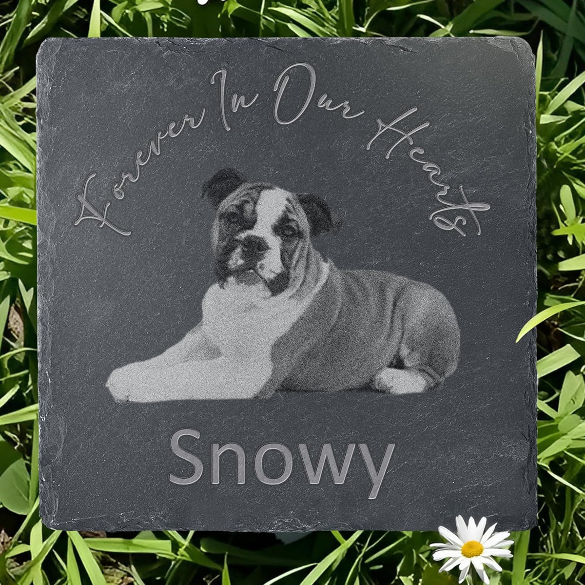 Pet Memorial Stone with Photo, Dog Memorial Gifts for Loss of Dog, Personalized Pet Memorial Gifts, Pet Loss Gift - Forever in Our Hearts