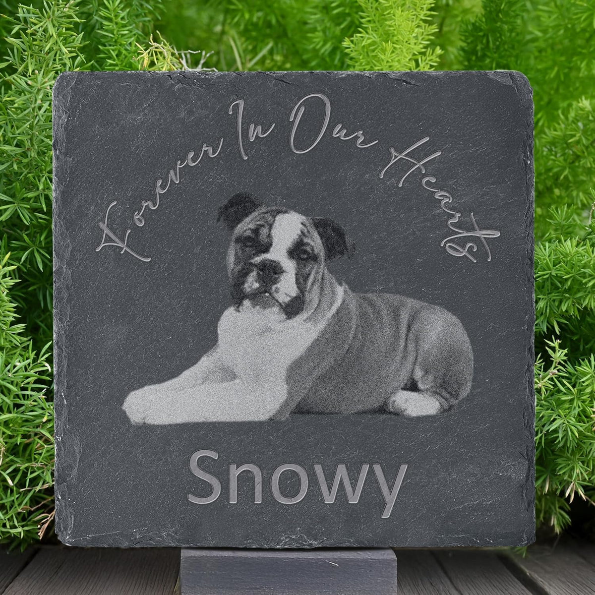 Pet Memorial Stone with Photo, Dog Memorial Gifts for Loss of Dog, Personalized Pet Memorial Gifts, Pet Loss Gift - Forever in Our Hearts