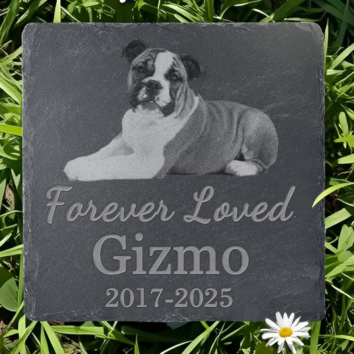 Pet Memorial Stone with Photo, Dog Memorial Gifts for Loss of Dog, Personalized Pet Memorial Gifts, Pet Loss Gift - Forever Loved
