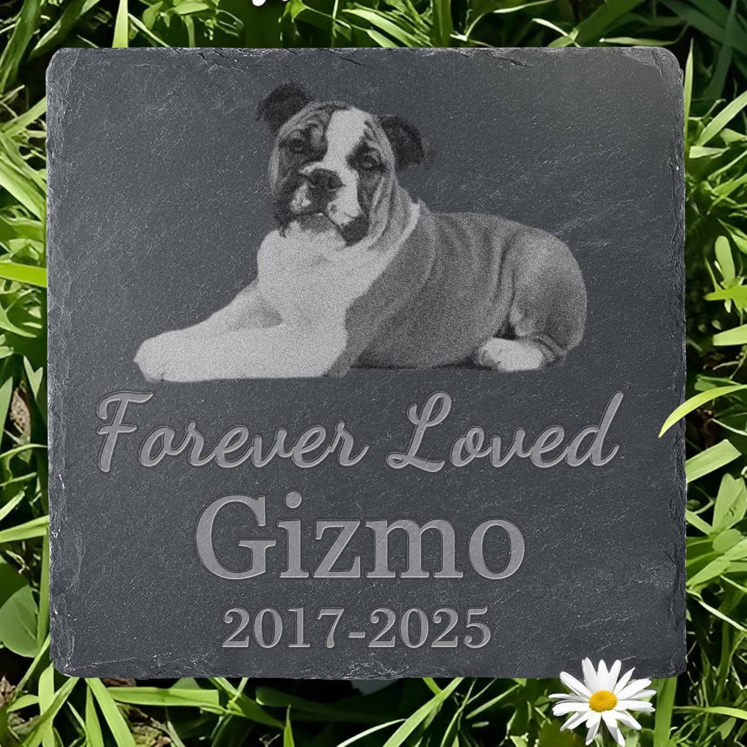 Pet Memorial Stone with Photo, Dog Memorial Gifts for Loss of Dog, Personalized Pet Memorial Gifts, Pet Loss Gift - Forever Loved