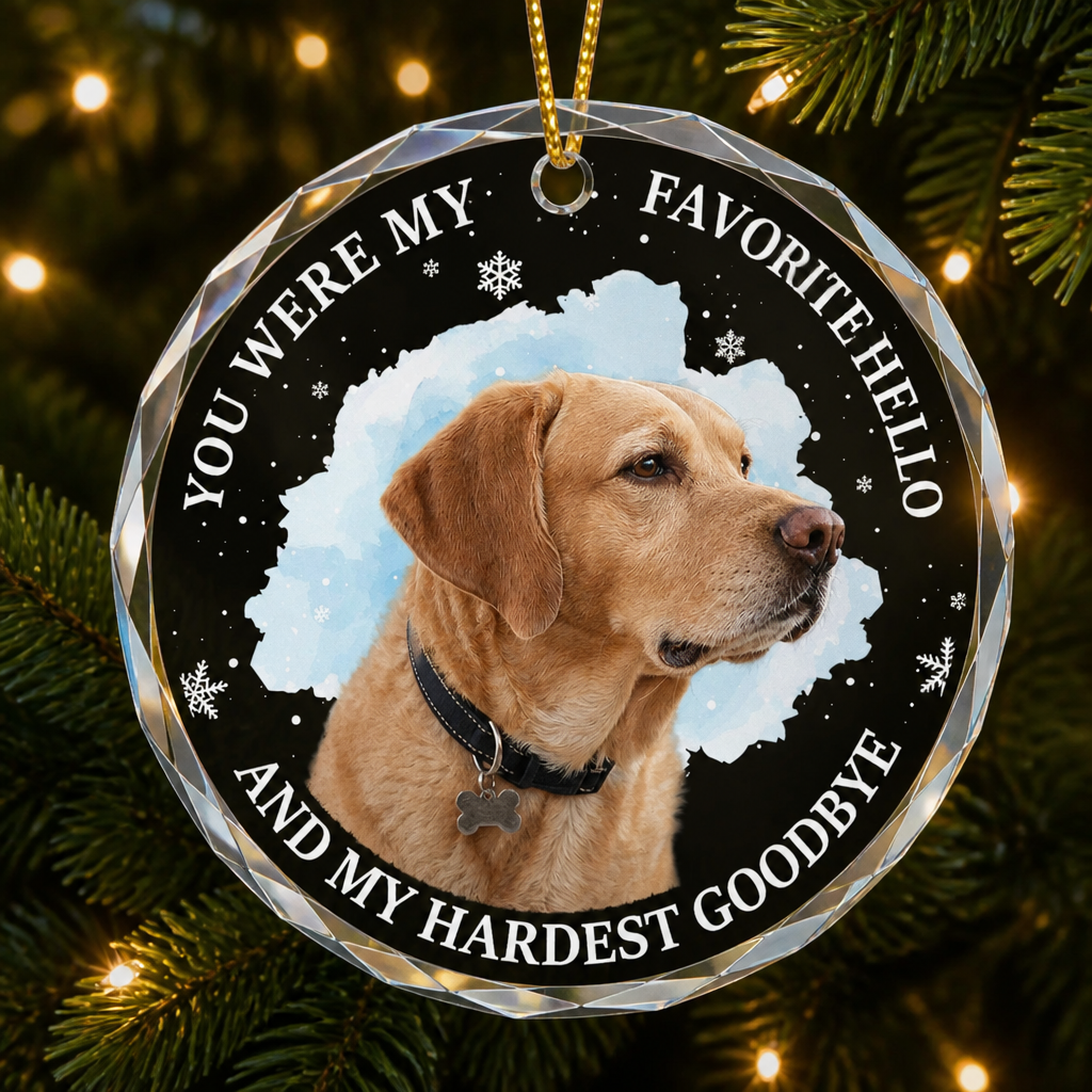 Pet Memorial Crystal Ornament – Favorite Hello, Hardest Goodbye - Personalized Crystal Ornament 920bcaa8-c8c6-4bc5-9db0-ab93a3be6768.png