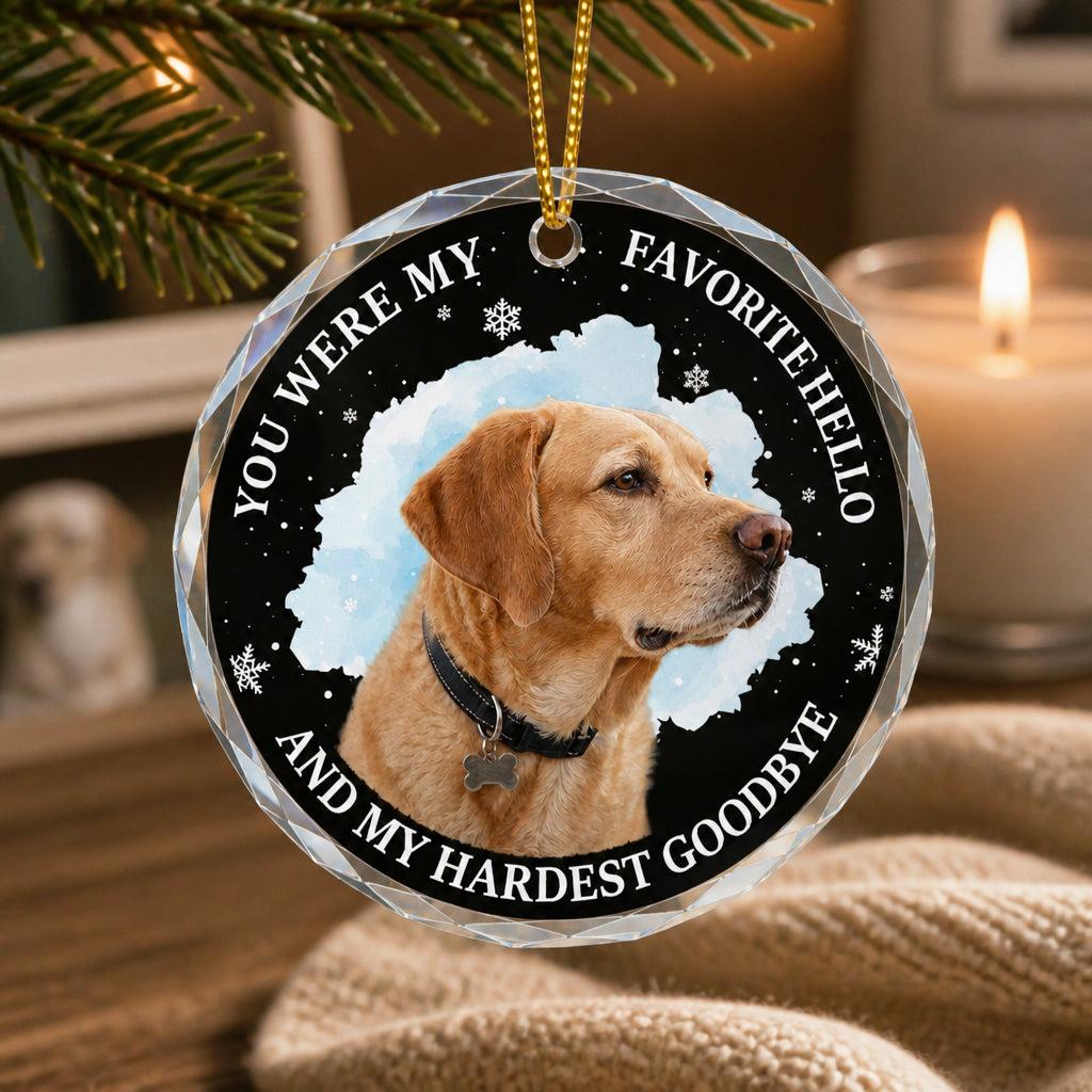 Pet Memorial Crystal Ornament – Favorite Hello, Hardest Goodbye - Personalized Crystal Ornament 9219c08f-0fb4-4322-abba-7a9eb368142d.jpg