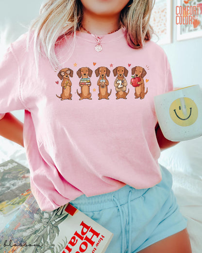 Comfort Color Dachshund Teacher Shirt Doxie Teacher Tee Wiener Dog School Graphic Back To School Teacher Appreciation Gift 92d9128d-f877-4905-bd56-3c666956fd63-2.webp