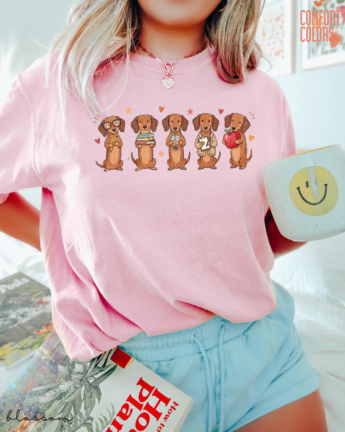Comfort Color Dachshund Teacher Shirt Doxie Teacher Tee Wiener Dog School Graphic Back To School Teacher Appreciation Gift 92d9128d-f877-4905-bd56-3c666956fd63-2.webp