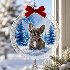 Personalized Pet Snow-Globe Bauble Ornament - Personalized 1 Layered Suncatcher with Charm 93924a00-b6e3-4773-9dc3-4b67de1c0d87.jpg