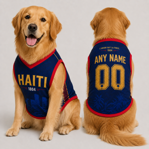 Custom Haiti Pet Jersey, Personalized Soccer Jersey, Haiti Pet Jersey, Pet Gift Jersey