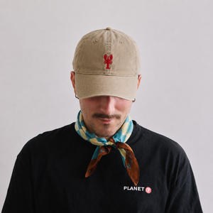 Custom Lobster Hat Coastal Embroidered Cap Beach Vacation Dad Hat New England Nautical Gift Summer Baseball Cap 96082c4d-1e86-4220-af26-c9da9a50ac4c-ed0b029f-4b79-4cb6-bcbb-69f740593baf.png