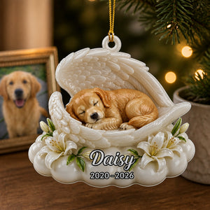 Angel Wings Pet Memorial Photo Ornament - Personalized Ornament 96e36adf-d248-4058-8289-376468bf6664.jpg