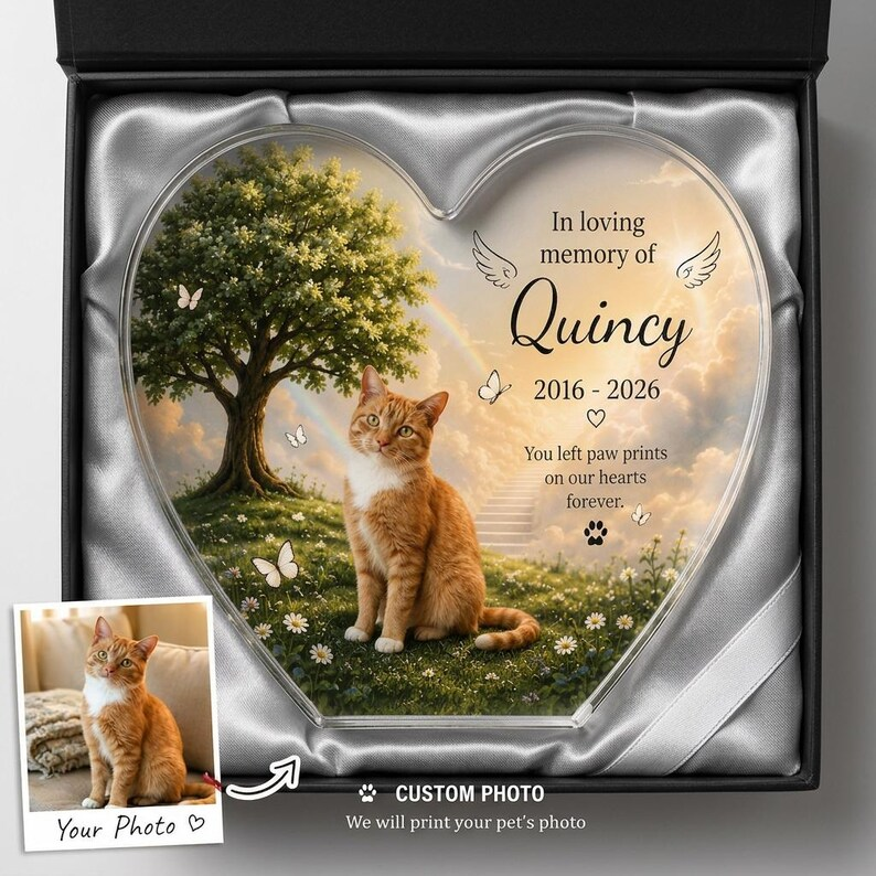 Personalized Pet Memorial Acrylic Block, Custom Cat Photo Keepsake, 2D Printed Rainbow Bridge Remembrance 975e2c94-acf0-4354-888f-19e6fb2646eb-hj3.png