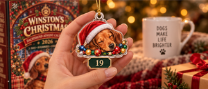 Winston's Dachshund Christmas Advent Calendar 2026, 24 Days of Cute Sausage Dog Surprises, Holiday Countdown Gift for Dog Lovers 98b02a67-bdf9-46b3-8ce1-287bc9c73945-dog_ornament_split_1_3.png