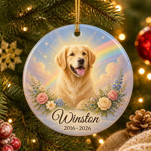 Rainbow Bridge Pet Memorial Photo Ornament - Personalized Ornament 98bb8375-87c4-4742-9849-7b3a2b0d75f6.png