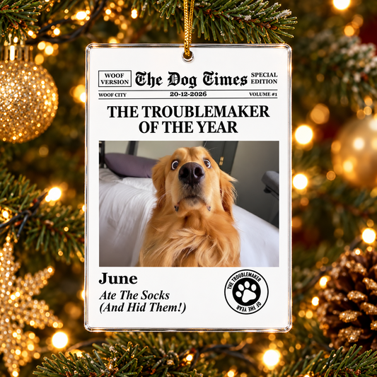 The Dog Times, The Meow Times - Troublemaker Of The Year - Personalized Acrylic Photo Ornament 9ace90c8-67e9-438a-9584-d7669b116f30-t-i-xu-ng-2-.png
