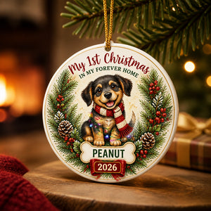 My 1st Christmas In My Forever Home - Personalized Pet Ornament (Name + Year) - Personalized Ornament 9b451282-6cbe-4091-9768-5308c5a30c7a.jpg