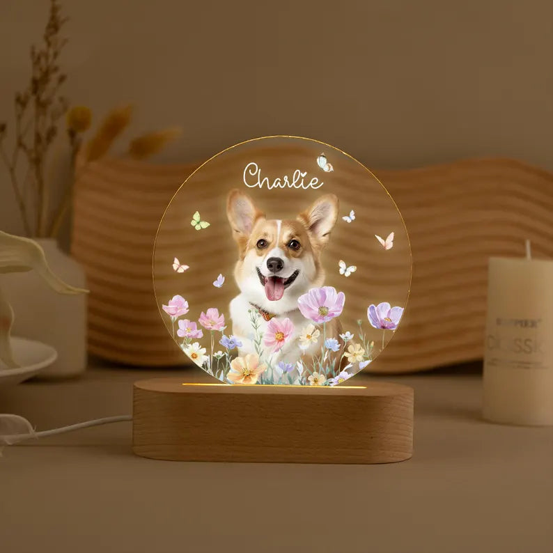Personalized Pet Photo Memorial Night Light: Dog Cat Loss Sympathy Gift 9c0c2aff-6487-4809-9e03-8fe128032a01-il_794xN.7197175785_pd8h.webp