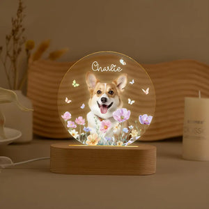 Personalized Pet Photo Memorial Night Light: Dog Cat Loss Sympathy Gift 9c0c2aff-6487-4809-9e03-8fe128032a01-il_794xN.7197175785_pd8h.webp