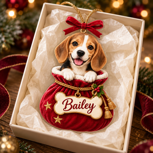 Personalized Dog Christmas Ornament – Custom Pet Photo & Name, 3D Relief Santa Sack Ornament, Christmas Gift for Dog Lovers 9c9599a9-3930-46ea-a3e3-136575e129d5-Bailey-beagle-ornament-in-gift-box-3.png
