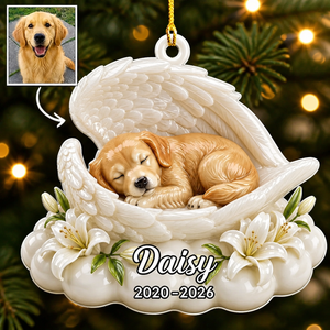 Angel Wings Pet Memorial Photo Ornament - Personalized Ornament 9ce61fef-efeb-4aa2-a447-d11deb6559a2.png