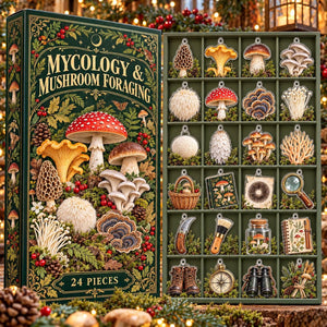 Mushroom Foraging Advent Calendar, 24 Acrylic Fungi Ornaments, Mycology Gift, Woodland Christmas Countdown Box, Mushroom Lover Christmas 9d33549e-0aa1-45f8-b22a-c5f6e99e0774-il_fullxfull.8650336627_6bsa.jpg