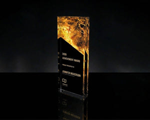 Custom Acrylic Trophy Award | Top Sales Performer & Deal Toy | Million Dollar Club Recognition Plaque 9d6a907d-629e-4e39-9e1f-3ef665ee4696-ccccxx-4-.jpg