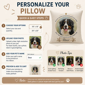 Pet Memorial Pillow – Painted Portrait + Name - Personalized Pillow 9e5f814d-b69b-4e38-a1dc-eafbb46934b0.jpg