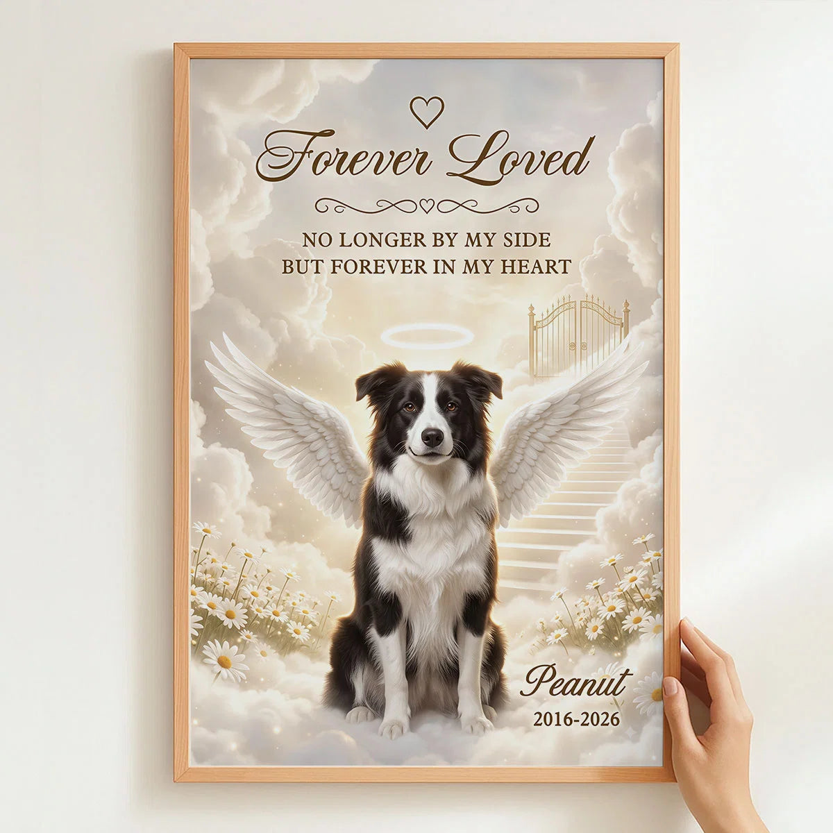 Custom Pet Loss Remembrance Picture Frame - Forever In My Heart Dog Memorial Gift - Personalized Border Collie Angel Picture 9f161e38-f4d9-4a52-b4c0-9bbd3819d1b2-ocMIVeQE0O__pod320260813916_web-7.webp