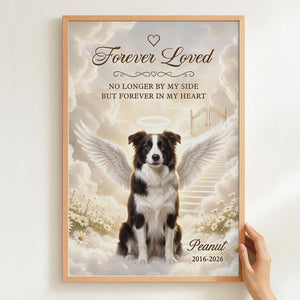 Custom Pet Loss Remembrance Picture Frame - Forever In My Heart Dog Memorial Gift - Personalized Border Collie Angel Picture 9f161e38-f4d9-4a52-b4c0-9bbd3819d1b2-ocMIVeQE0O__pod320260813916_web-7.webp