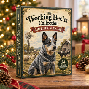Working Heeler Advent Calendar 2026, Cattle Dog Holiday Countdown Box, Australian Heeler Acrylic Charm Set, Dog Lover Blind Box Gift 9f33462c-d3c5-4584-ba0a-438a0e89d7d6-il_1588xN.8511833854_inj6.jpg