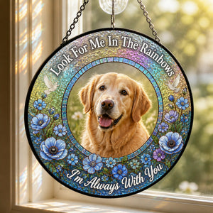 Rainbow Bridge Pet Memorial Suncatcher - Upload Photo - Personalized Suncatcher Stained Glass 9fe4defa-4f49-419d-8256-ea98c5b5ff58.jpg
