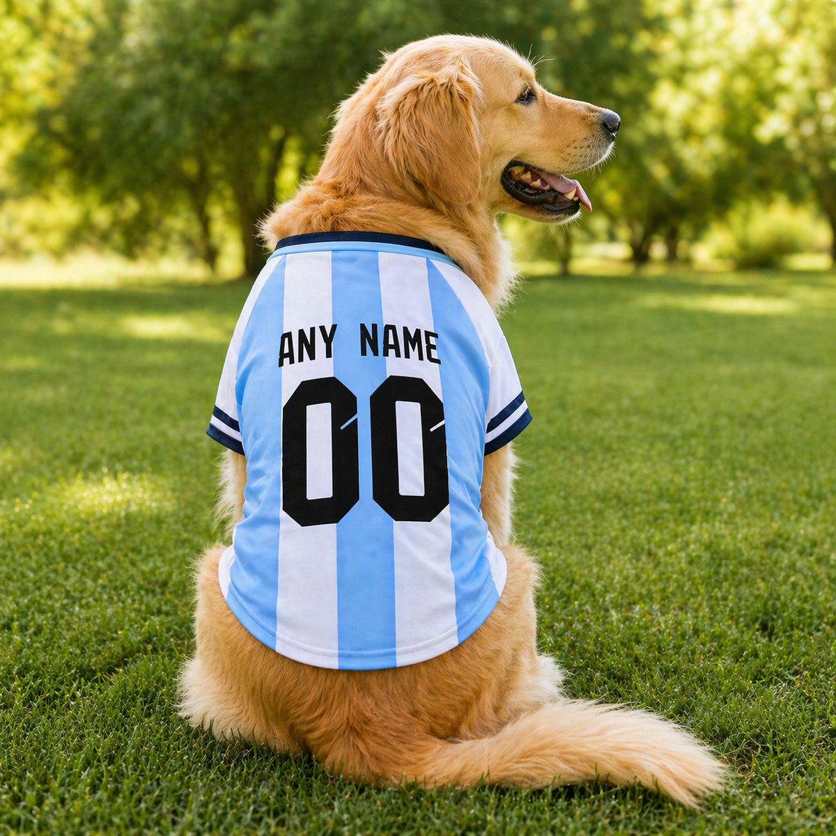 Argentina Dog T-Shirt Jersey Style Custom Name and Number Pet Clothes Gifts