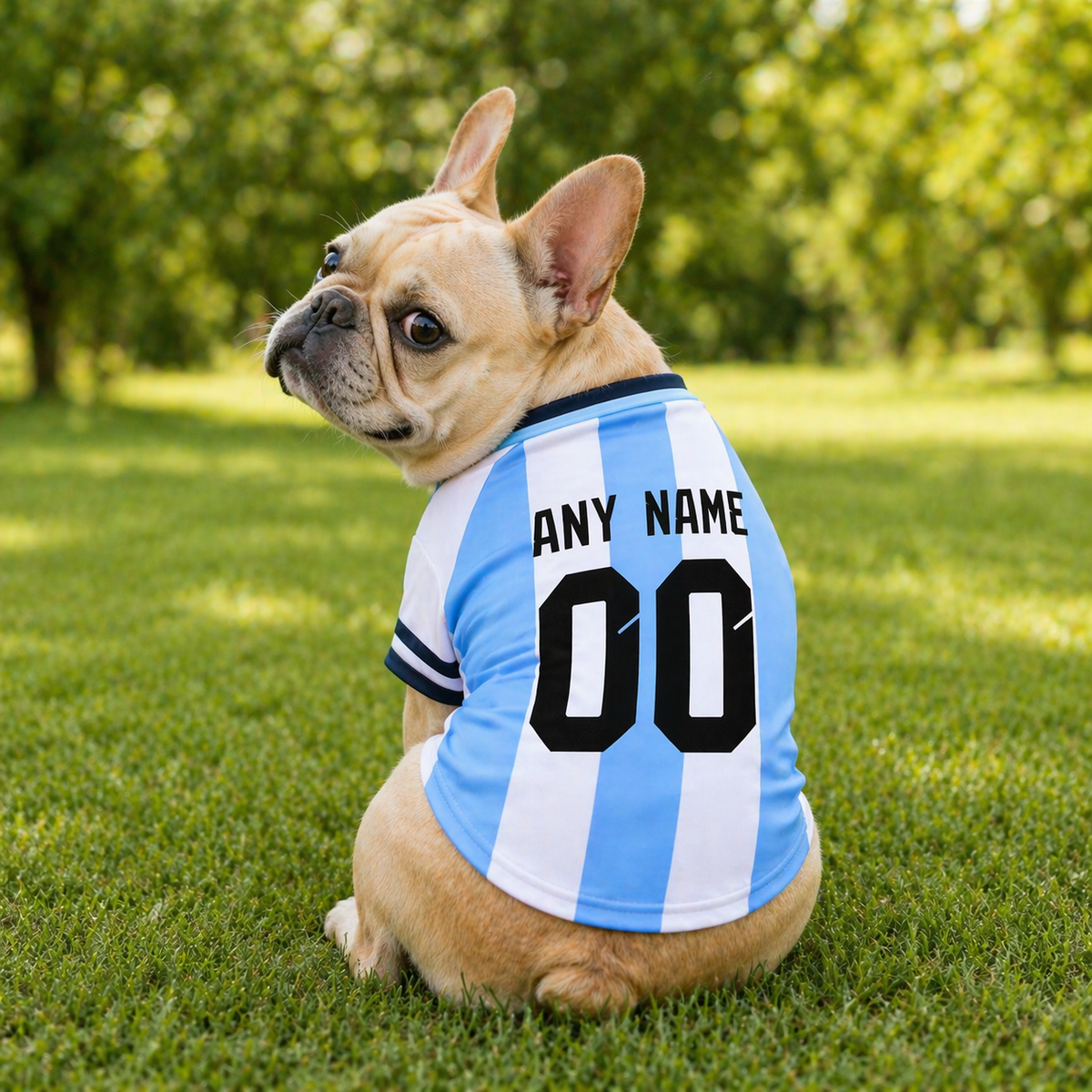 Argentina Dog T-Shirt Jersey Style Custom Name and Number Pet Clothes Gifts