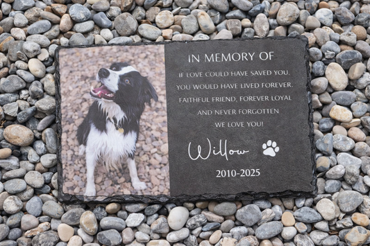 Personalized Pet Memorial,Custom Pet Memorial Stone,Pet Grave Marker With Photo,Pet Grave Stone,Pet Memorial Gift,Dog Sympathy Gift