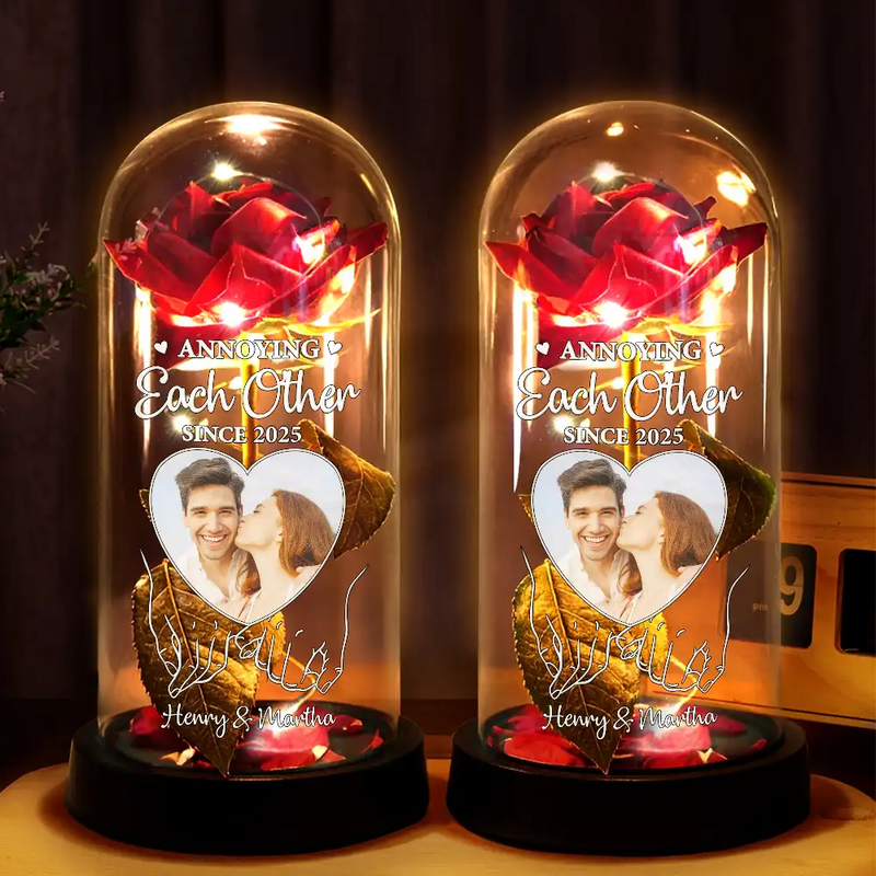 Custom Photo You & Me We Got This - Personalized Everlasting Rose Dome Lamp