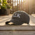 Basic Embroidered Sorority Hat / Greek Letter Dad Hat / Big Little Basket Family Gift / Bid Day Bag Gift / Customizable Sorority Hat Gemini_Generated_Image_qcglnjqcglnjqcgl.jpg