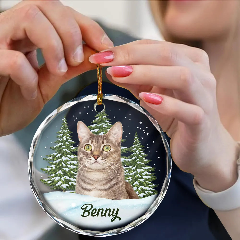 Custom Photo Pet Face, Christmas Gift For Dog Lovers, Cat Lovers