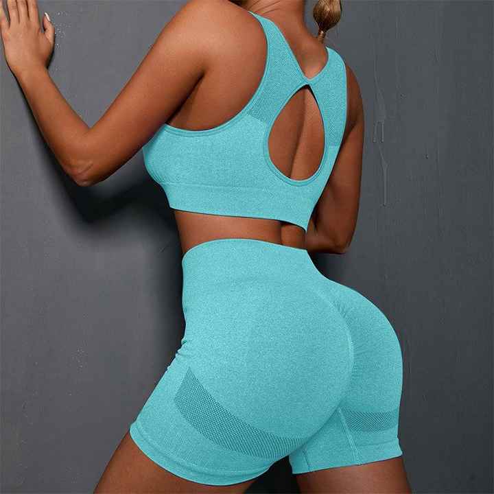 Gym Wear Two-piece Yoga Bra Shorts Set Seamless Four-way Stretch Sportswear