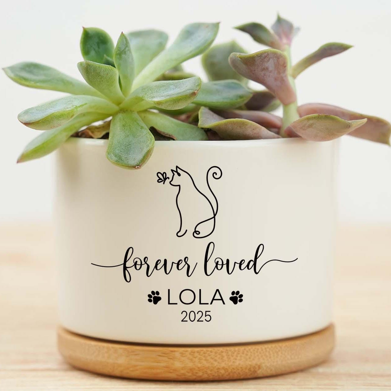 Cat Memorial Gift, Remembrance Gift, Pet Memorial Gift, Loss of Pet, Loss of Cat, Custom Flower Pot, Never Forgotten, Memorial Planter