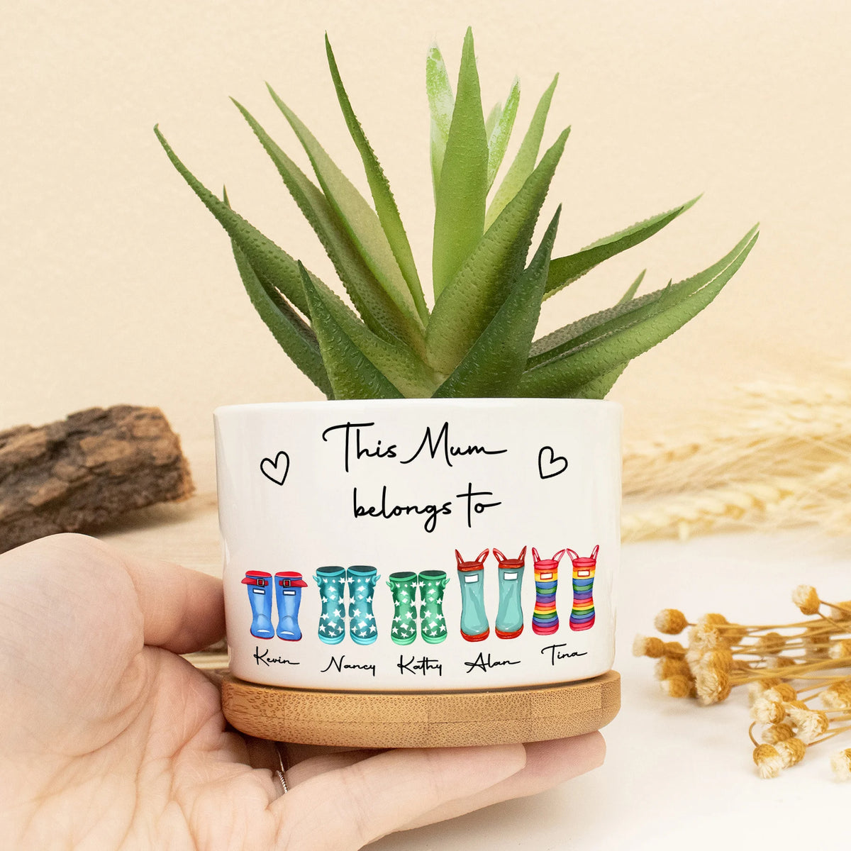 This Mum Belongs To Mini Plant Pot, Gift for Mom, Home Decor Nanny Gifts, Outdoor Planter,Birthday Gift,Family Gift, Gift from Grandkids