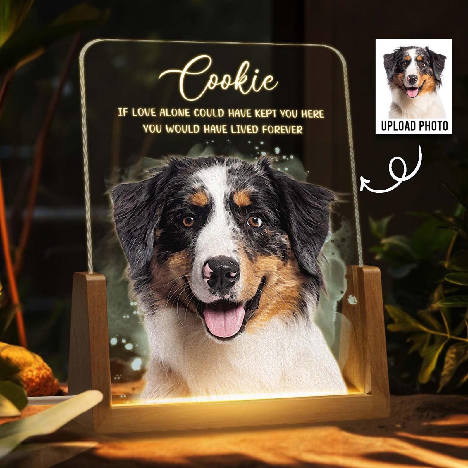 Personalized Pet Memorial LED Night Light, Custom Photo Pet Lover Night Light, Dog Keepsake Sign, Pet Loss Light Up Sign, Loss Of Dog Cat