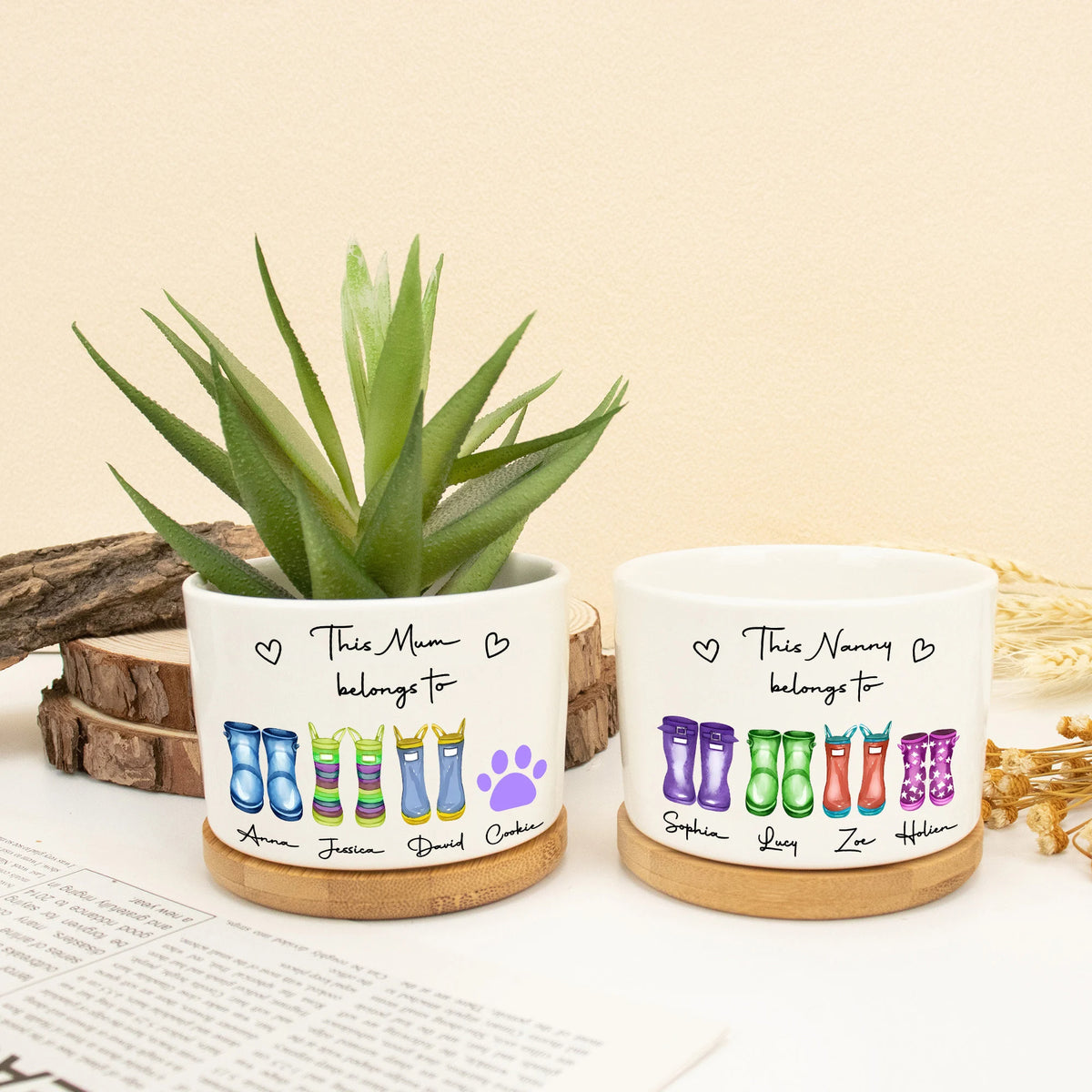 This Mum Belongs To Mini Plant Pot, Gift for Mom, Home Decor Nanny Gifts, Outdoor Planter,Birthday Gift,Family Gift, Gift from Grandkids