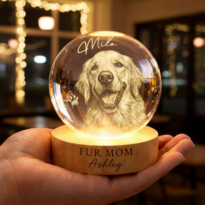 Personalized Dog Mom/Cat Mom Crystall Ball LED Light Lamp, Pet Portrait Gift For Cat Dog Lovers, Pet Mum Remembrance Gifts