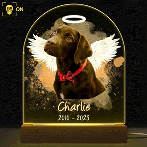 Custom Photo Dog Cat Pet - Memorial Gift, Sympathy Gift - Personalized 3D Led Light Wooden Base